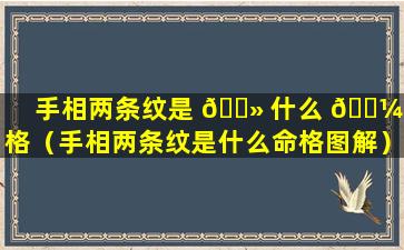 手相两条纹是 🌻 什么 🌼 命格（手相两条纹是什么命格图解）